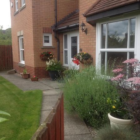 Home From Home Bed And Breakfast Livingston Exteriör bild