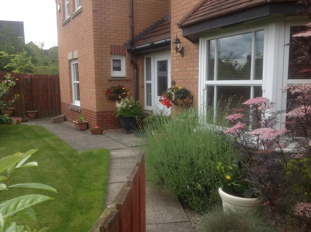 Home From Home Bed And Breakfast Livingston Exteriör bild